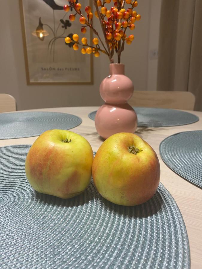 Metro Szwedzka Apple Apartment *